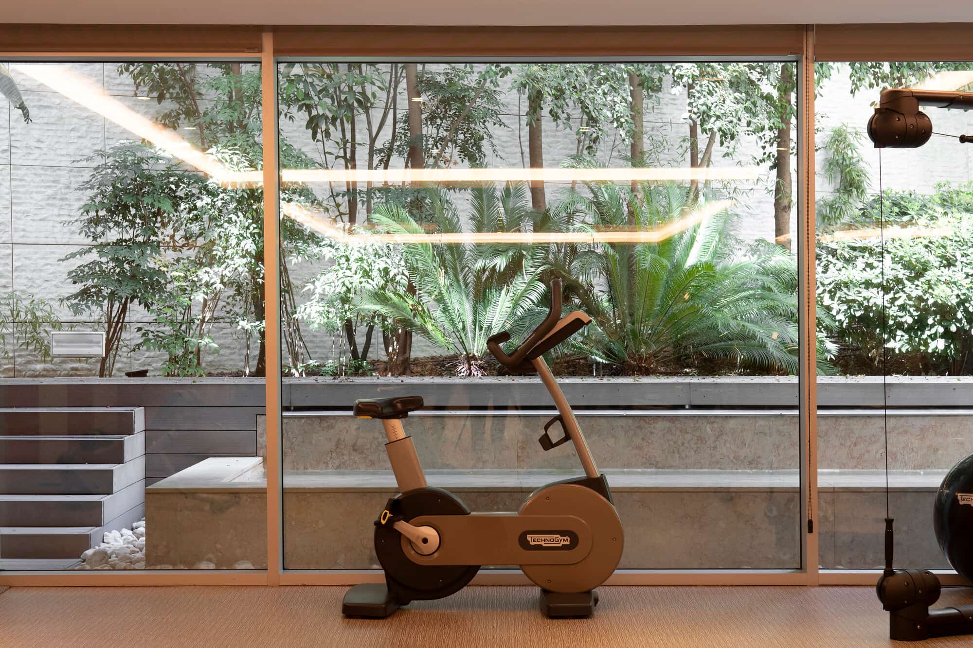 Sana Lisboa Gina╠Üsio