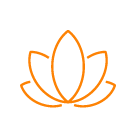 ICONS SITE EVOLUTION SPA WELLNESS