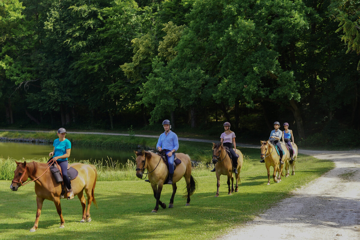 Auberge Du Jeu De Paume Horseactivities Domainedechantilly (2)