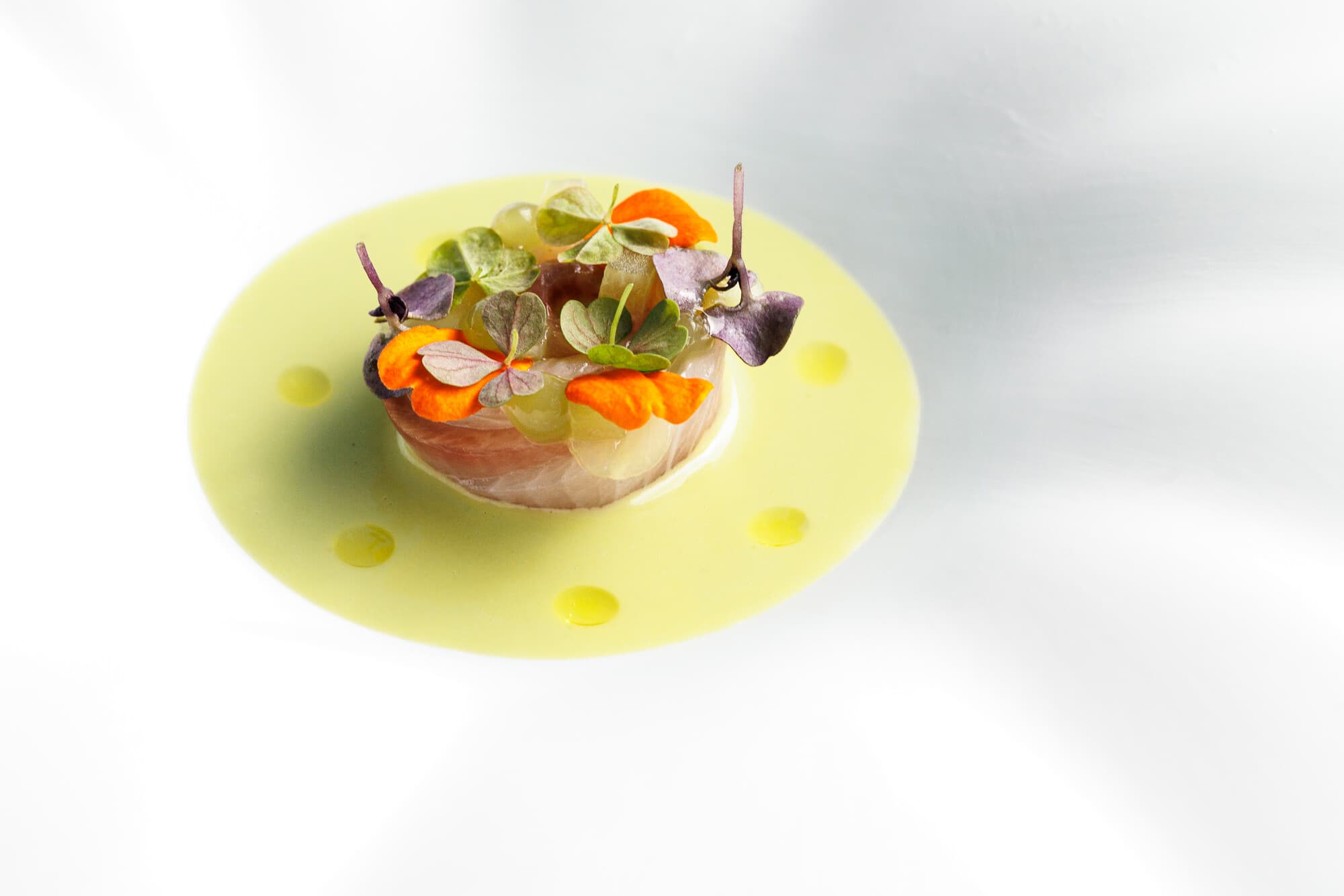 Prato Lirio Restaurante Fifty Seconds