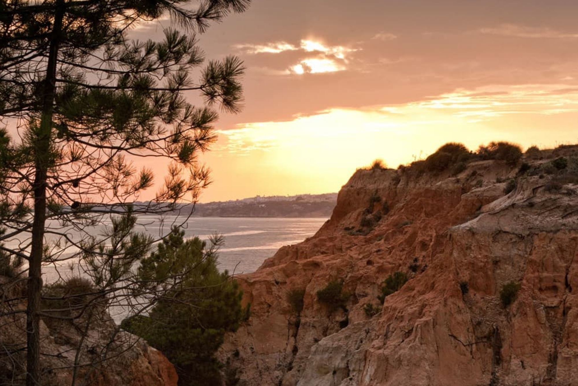 Sana Hotels Sustentabilidade1