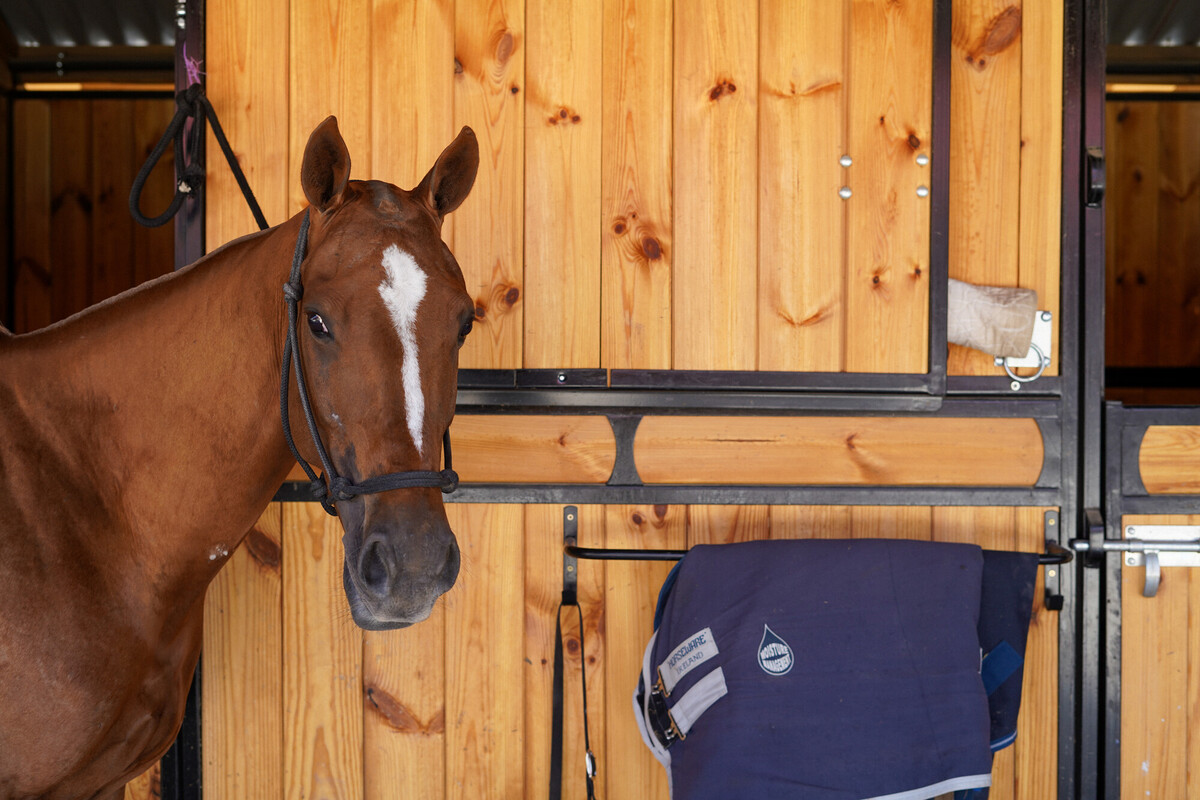 Auberge Du Jeu De Paume Horseactivities Domainedechantilly (3)