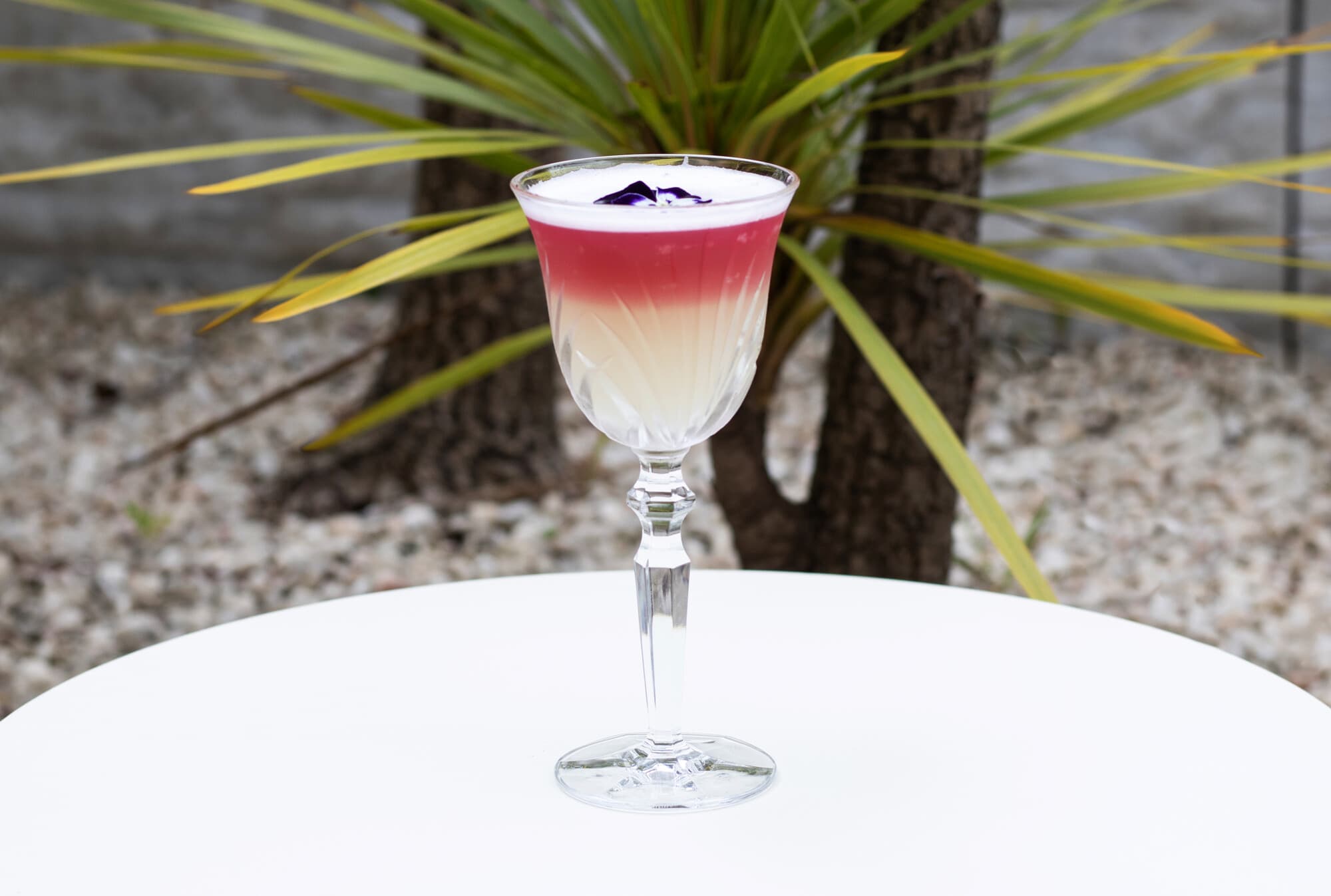 Epic Sana Lisboa Hotel Scale Bar 31