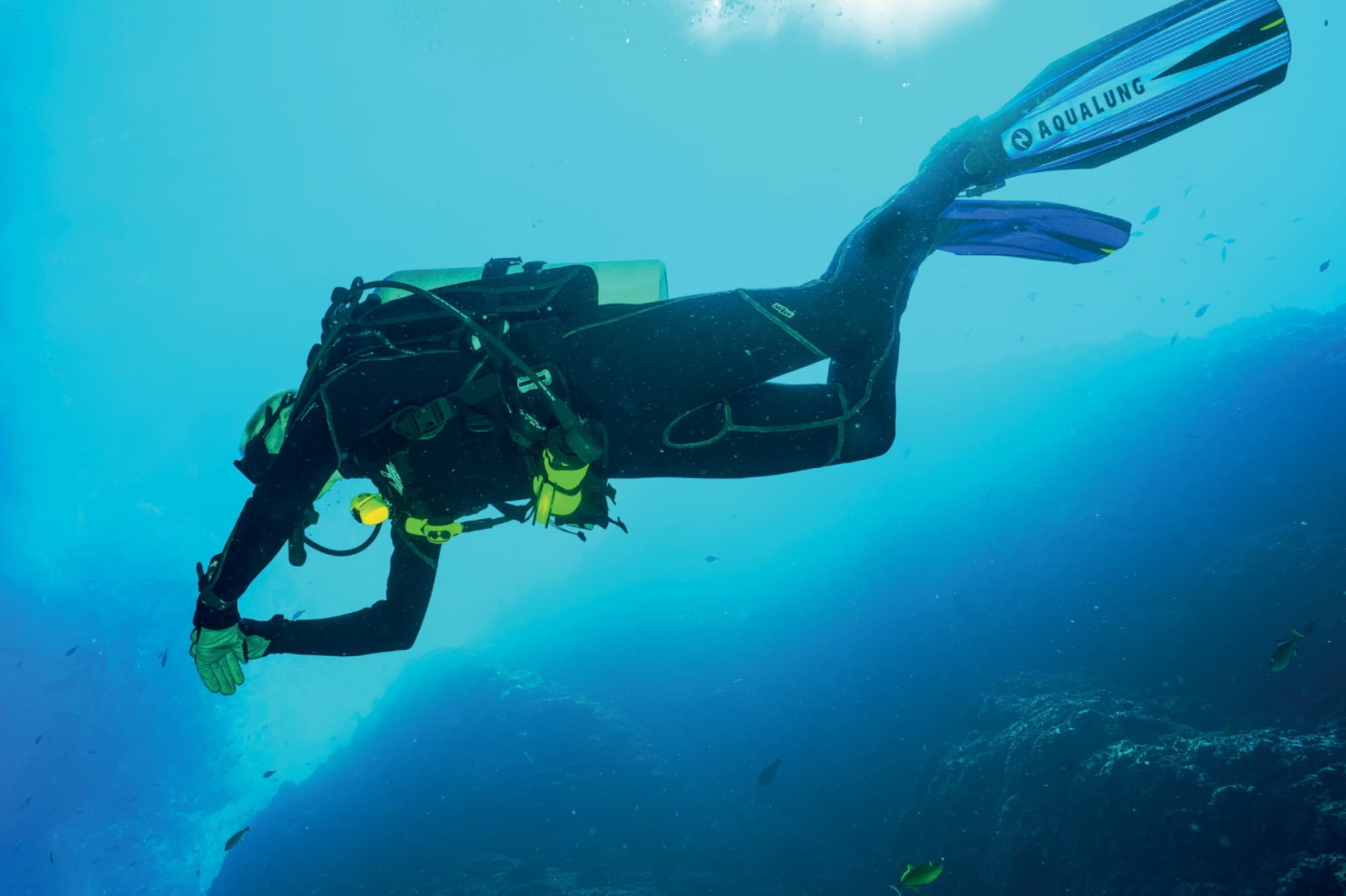 Tauchen Sie ein in die Natur