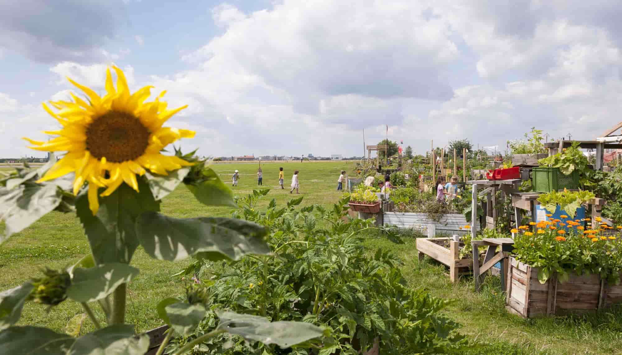 Germany-berlin-tempelhofer-feld
